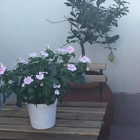 L'attico Del Centro Tra Il Petruzzelli Ed Il Mare Apartment Bari